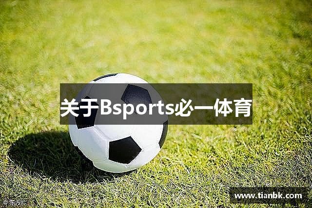 关于Bsports必一体育